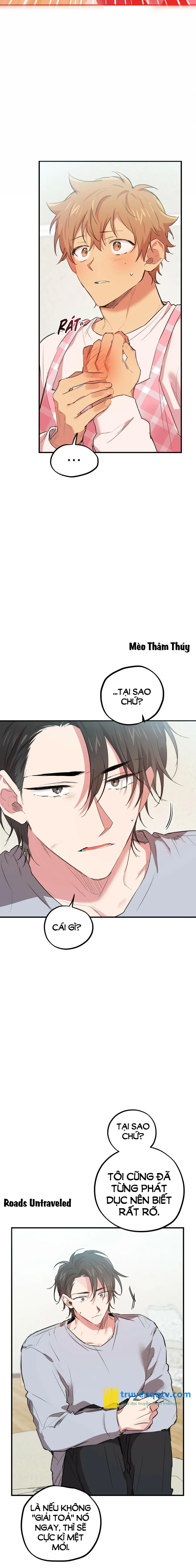 NHỮNG CHÚ THỎ CỦA HABIBI Chapter 17 - Next Chapter 18