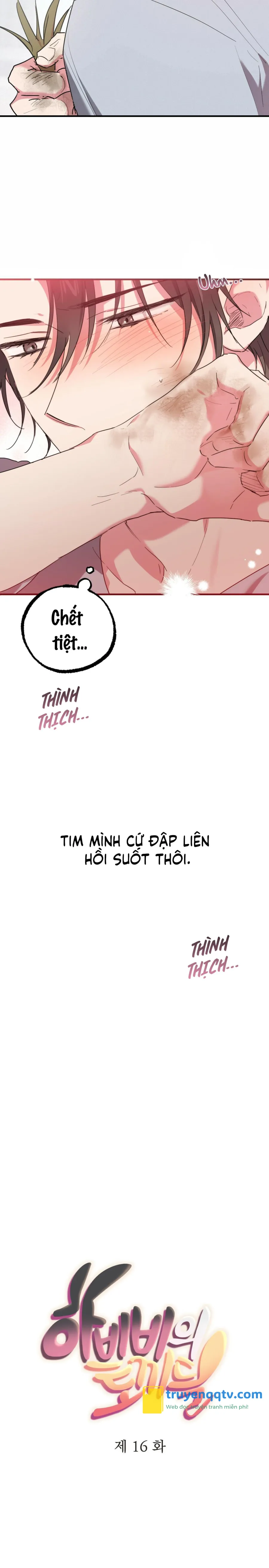 NHỮNG CHÚ THỎ CỦA HABIBI Chapter 16 - Next Chapter 17