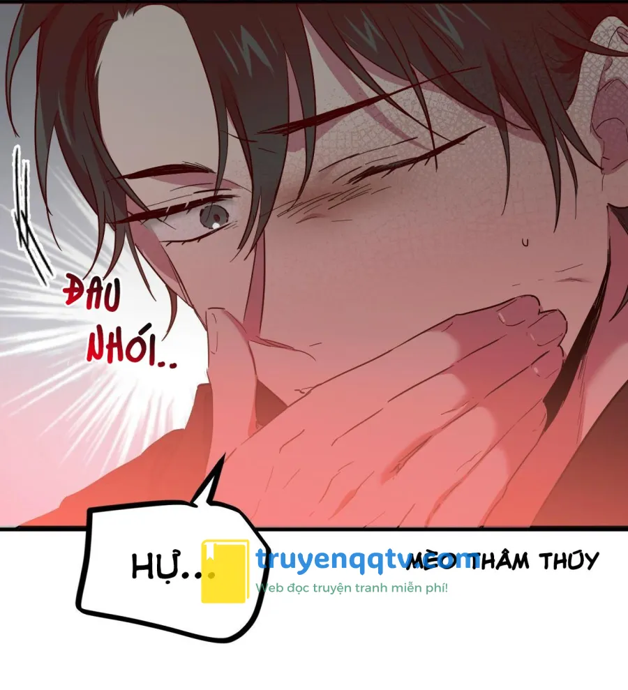 NHỮNG CHÚ THỎ CỦA HABIBI Chapter 6 - Next Chapter 7