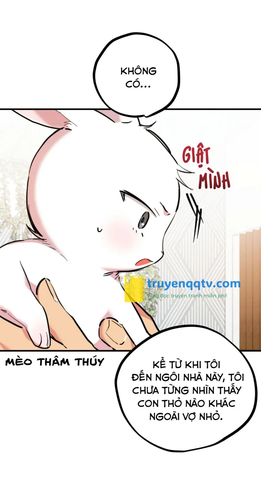 NHỮNG CHÚ THỎ CỦA HABIBI Chapter 3 - Next Chapter 4