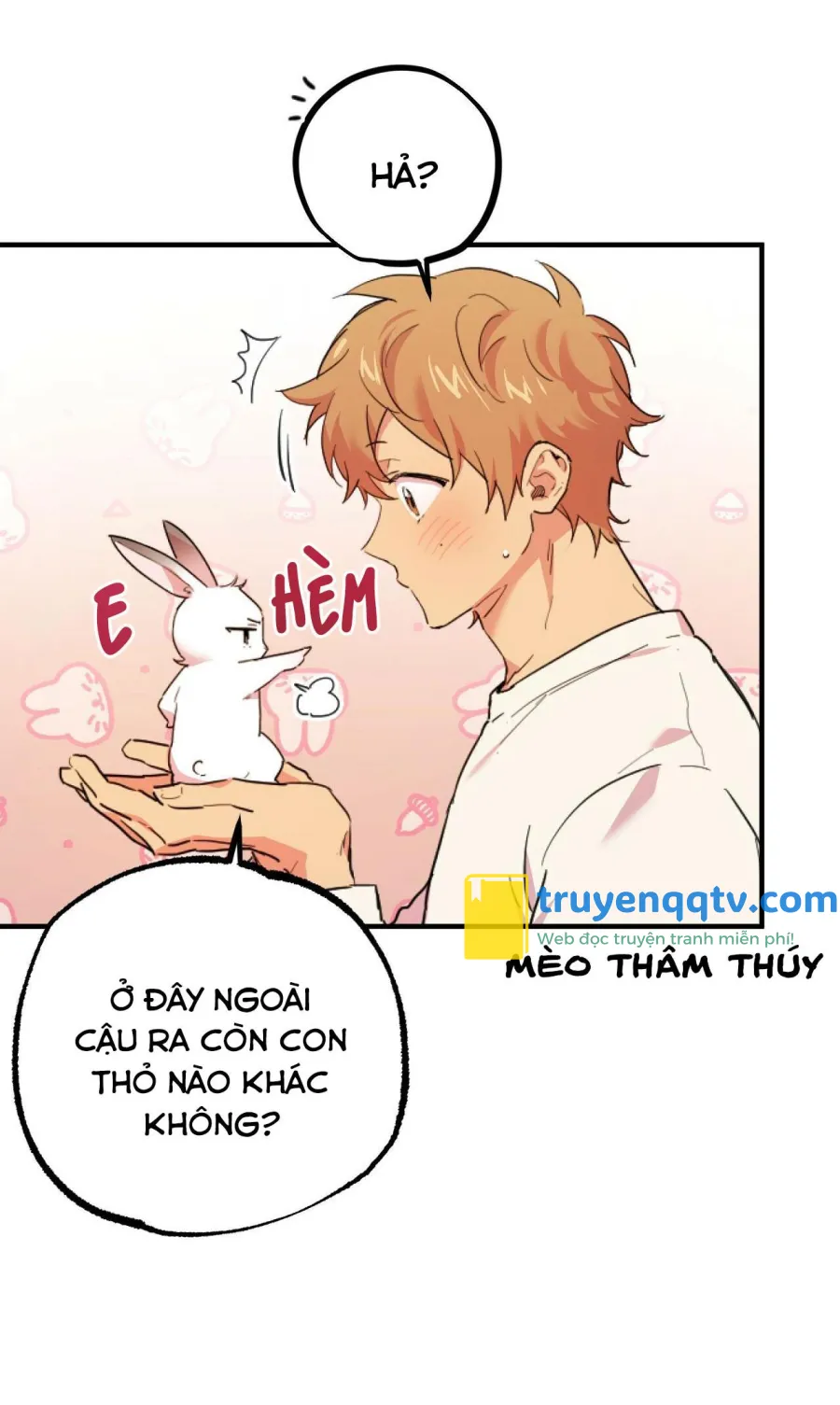 NHỮNG CHÚ THỎ CỦA HABIBI Chapter 3 - Next Chapter 4