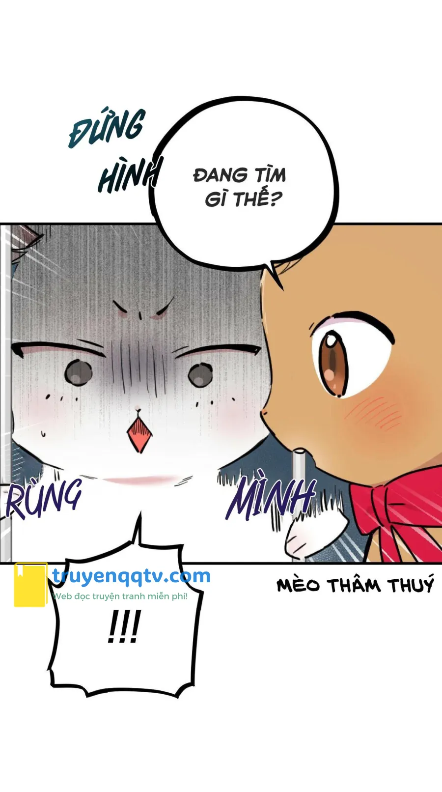 NHỮNG CHÚ THỎ CỦA HABIBI Chapter 2 - Next Chapter 3