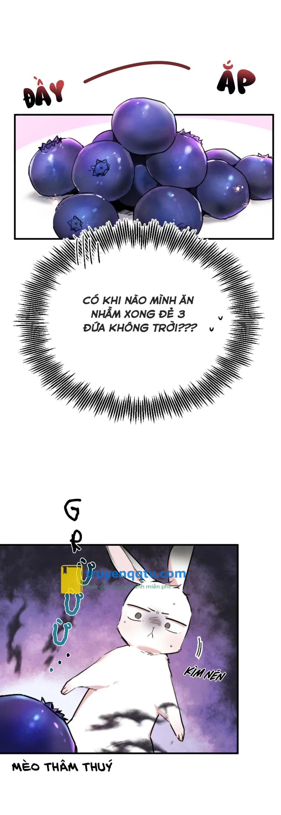 NHỮNG CHÚ THỎ CỦA HABIBI Chapter 2 - Next Chapter 3