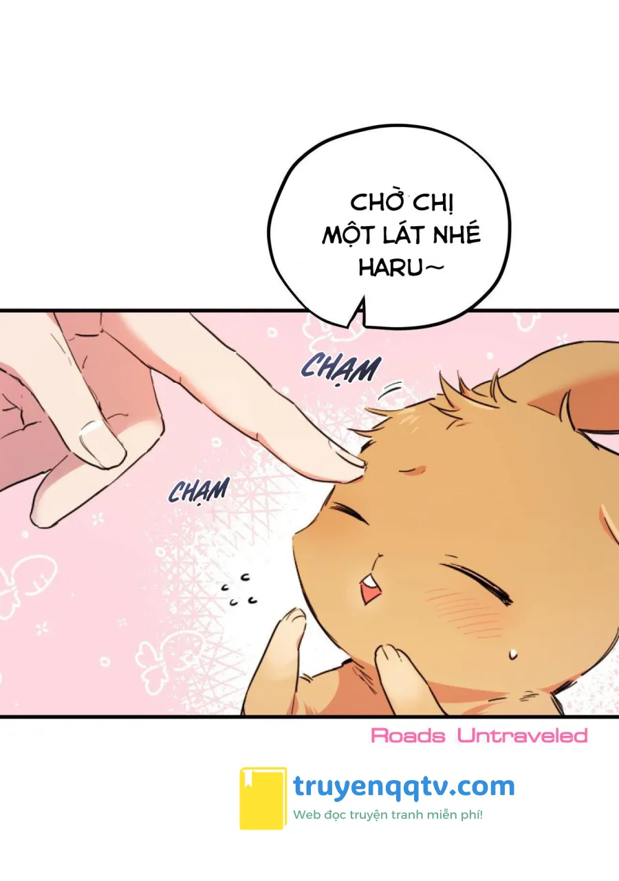 NHỮNG CHÚ THỎ CỦA HABIBI Chapter 2 - Next Chapter 3