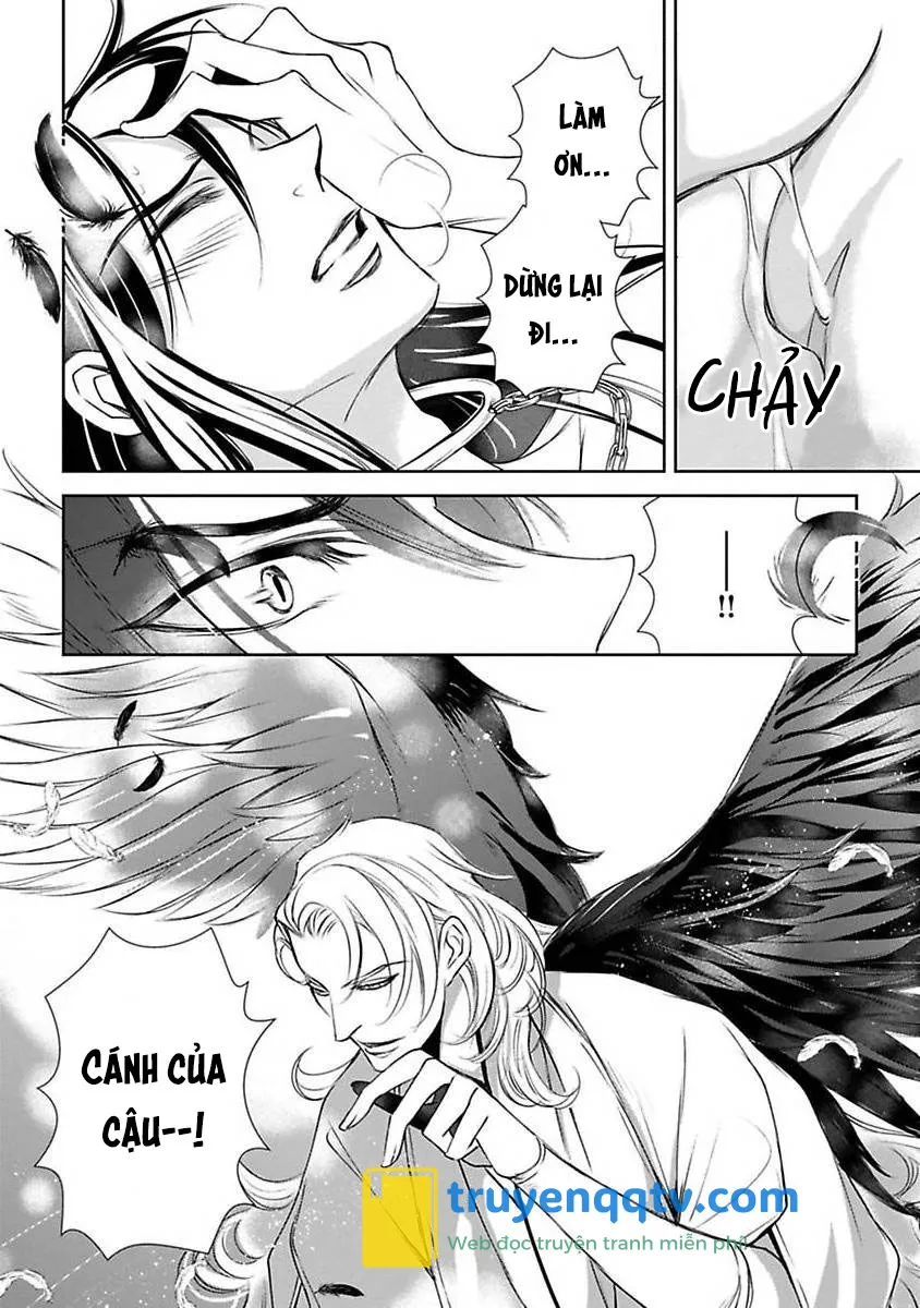 Cuộc Săn Thê Của Thiên Nga Chapter 2 - Next Chapter 3