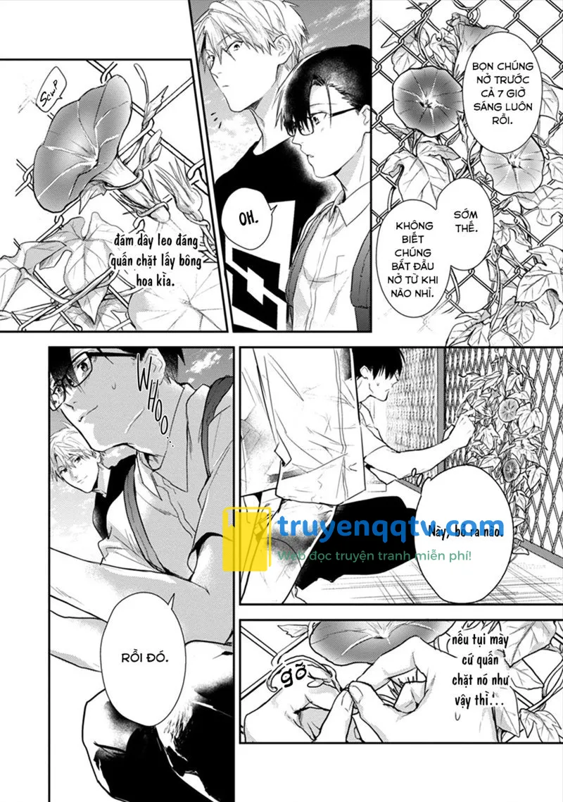 Bìm Bịp Nở Vào Ban Đêm Chapter 3 - Next Chapter 4