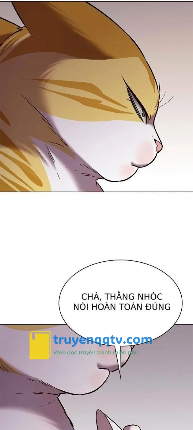 hoá thân thành mèo chương 241 - Next Chapter 241.1