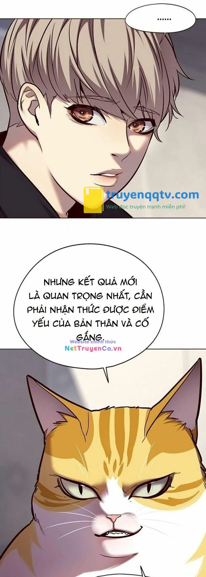 hoá thân thành mèo chapter 116 - Next chapter 117