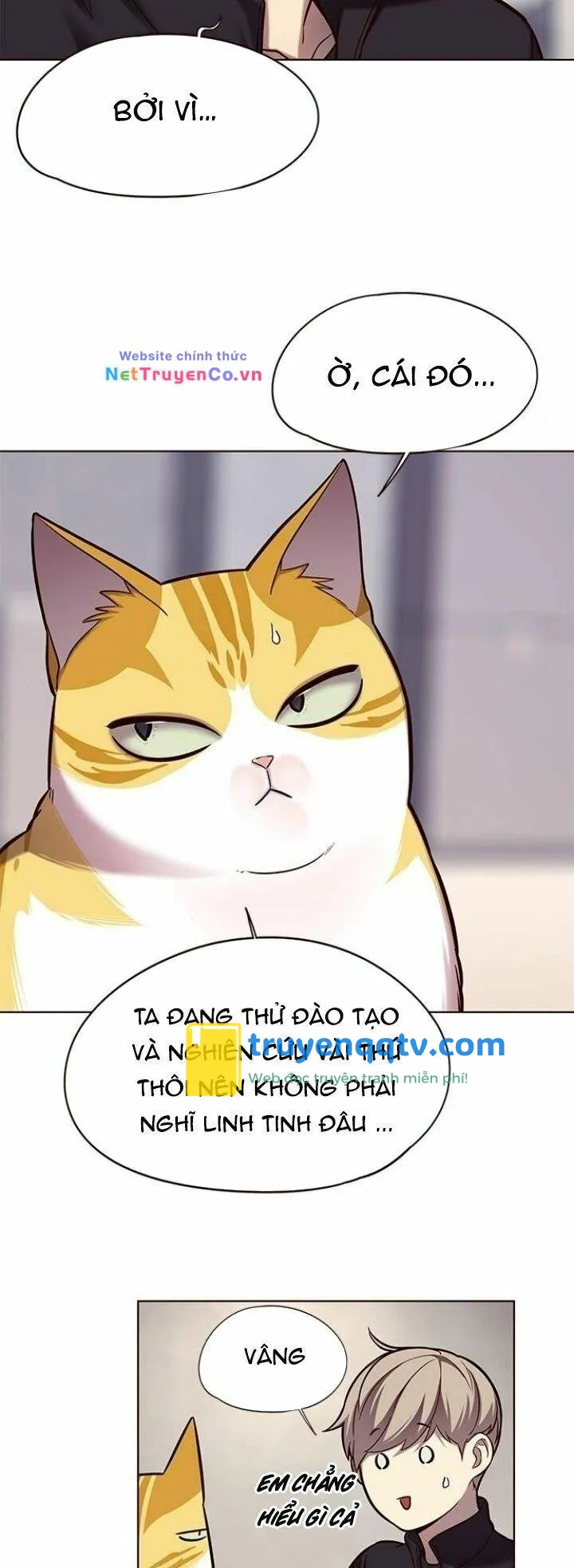 hoá thân thành mèo chapter 116 - Next chapter 117