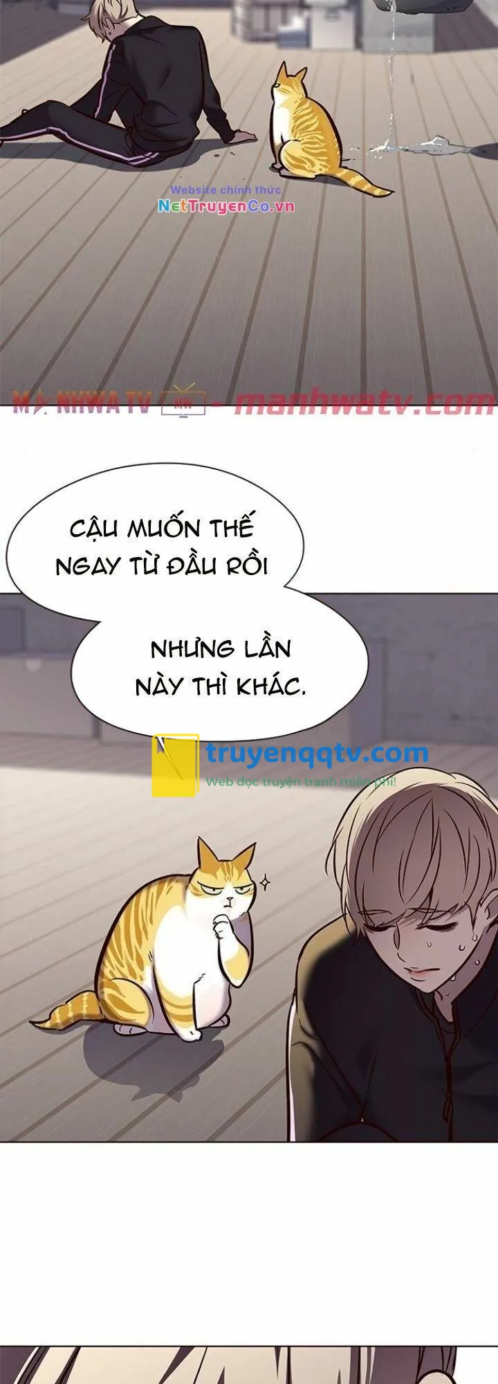 hoá thân thành mèo chapter 116 - Next chapter 117