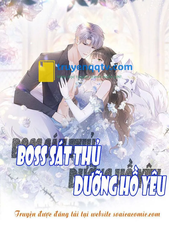 boss sát thủ dưỡng hồ yêu chapter 37 - Next chapter 38