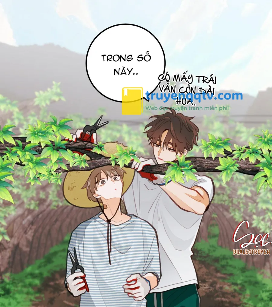 chuyện tình hoa lê nở Chapter 16 - Next Chương 16